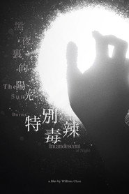 黑夜裏的陽光特別毒辣 封面