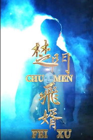 楚门飞婿 封面