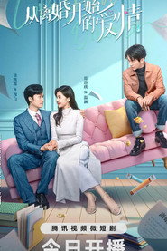 从离婚开始的爱情 封面