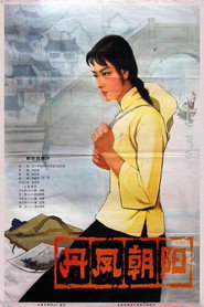丹凤朝阳 封面