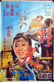 野虎 封面