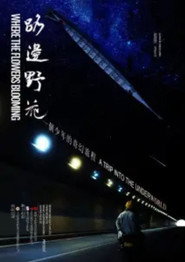 路边野花 封面