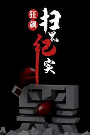 狂飙-扫黑纪实 封面