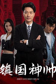 镇国神帅 封面
