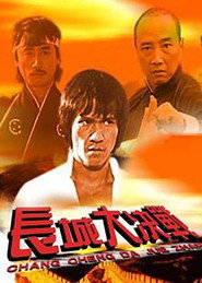 龙火长城 封面