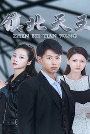 镇北天王 封面