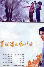 等到满山红叶时 封面