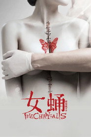 女蛹 封面