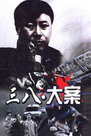 3·8大案 封面