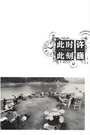 许巍：此时此刻 纪录片 封面