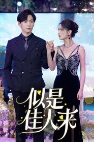 似是佳人来 封面