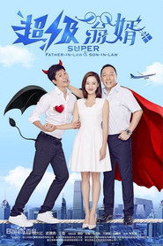 超级翁婿 封面