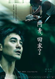 阿青,回家了 封面
