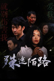 殊途陌路 封面
