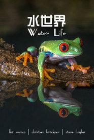 Water Life A World of Water 封面