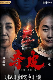 夺皮 封面