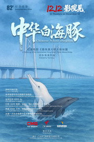 中华白海豚 封面
