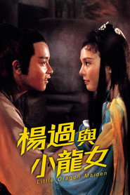 杨过与小龙女 封面
