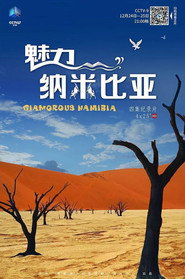 魅力纳米比亚 封面