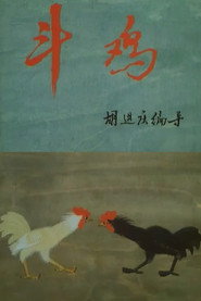 斗鸡 封面
