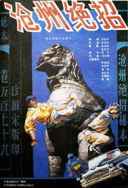 沧州绝招 封面
