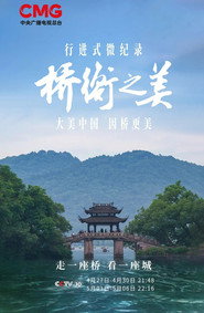 桥衡之美 封面