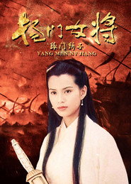 杨门女将之辕门斩子 封面