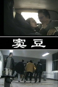 窦豆 封面