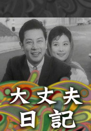 大丈夫日记 封面