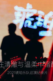 琥珀，在清澈与温柔中宿醉 封面