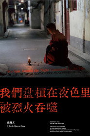 我们盘桓在夜色里，被烈火吞噬 封面