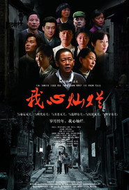 我心灿烂 封面