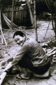 穿過婆家村 封面