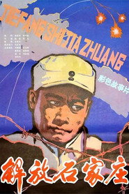 解放石家庄 封面