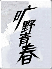 旷野青春 封面