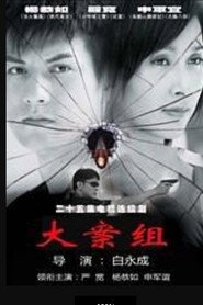 大案组 封面
