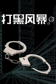 打黑风暴 封面