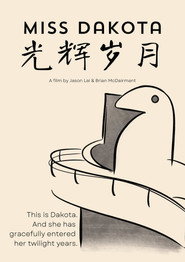 光辉岁月 封面
