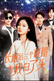 长眠后三个哥哥为我白了头 封面