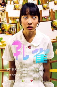 孔雀 封面