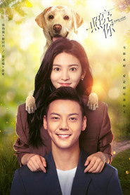 照亮你 封面