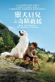 灵犬雪莉：冒险再出发 封面