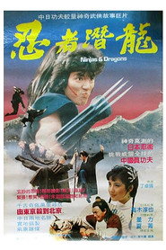 忍者潛龍 封面