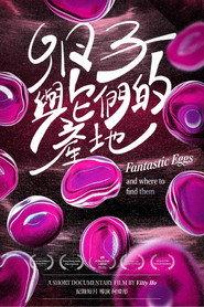 Fantastic Eggs and Where to Find Them 封面