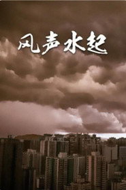 风生水起 封面