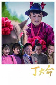 丁大命 封面