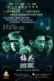 梅花档案 封面
