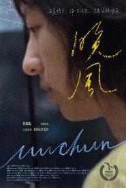 晚风 封面