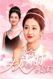 四爷,夫人又和人打起来了 封面