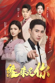 缘来是你 封面